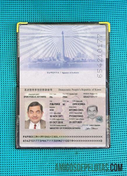 Passaporte Coreano 2016 Presente Photolook baixar para verificação